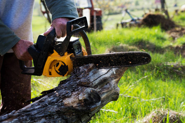 Best Arborist Consultation Services  in Neodesha, KS